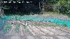 kannonmori-20250508134016.jpg