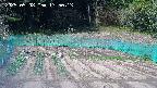 kannonmori-20250508135015.jpg