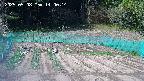 kannonmori-20250508140016.jpg