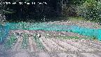 kannonmori-20250508141017.jpg