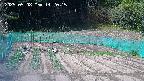 kannonmori-20250508142018.jpg