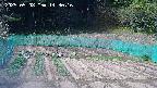 kannonmori-20250508143018.jpg