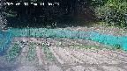 kannonmori-20250508144015.jpg
