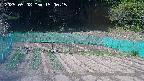 kannonmori-20250508150017.jpg