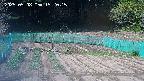 kannonmori-20250508152017.jpg