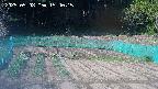 kannonmori-20250508154017.jpg