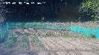 kannonmori-20250508155016.jpg