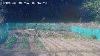 kannonmori-20250508160015.jpg