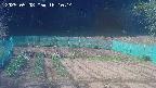 kannonmori-20250508161016.jpg