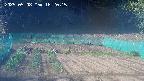 kannonmori-20250508162017.jpg