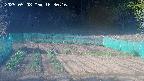 kannonmori-20250508163018.jpg