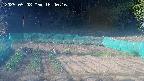 kannonmori-20250508164018.jpg