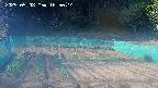 kannonmori-20250508165016.jpg
