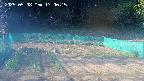 kannonmori-20250508170017.jpg