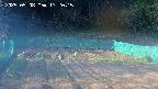 kannonmori-20250508172017.jpg