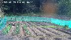 kannonmori-20250509073016.jpg