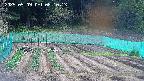 kannonmori-20250509081015.jpg