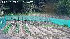 kannonmori-20250509092017.jpg