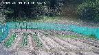 kannonmori-20250509101016.jpg