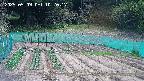 kannonmori-20250509102018.jpg