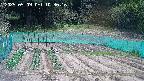 kannonmori-20250509103017.jpg