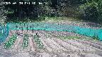 kannonmori-20250509104019.jpg