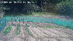 kannonmori-20250509110017.jpg