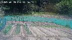 kannonmori-20250509111016.jpg