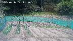 kannonmori-20250509112016.jpg