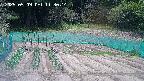 kannonmori-20250509113016.jpg
