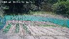 kannonmori-20250509114017.jpg