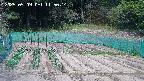 kannonmori-20250509115016.jpg