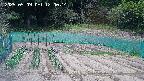 kannonmori-20250509120016.jpg