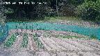 kannonmori-20250509121020.jpg
