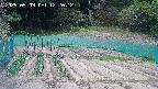 kannonmori-20250509122014.jpg