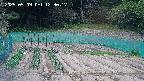 kannonmori-20250509123019.jpg