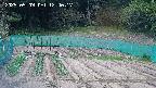 kannonmori-20250509124019.jpg