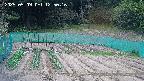 kannonmori-20250509125018.jpg