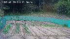 kannonmori-20250509130018.jpg