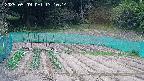 kannonmori-20250509131016.jpg