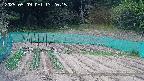 kannonmori-20250509132017.jpg