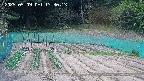 kannonmori-20250509133015.jpg