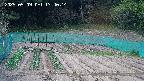 kannonmori-20250509134016.jpg