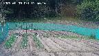 kannonmori-20250509135018.jpg
