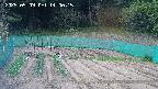 kannonmori-20250509140017.jpg