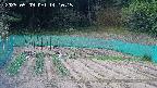 kannonmori-20250509141017.jpg