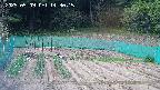 kannonmori-20250509143017.jpg