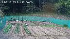 kannonmori-20250509151017.jpg