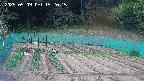 kannonmori-20250509152018.jpg