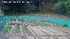 kannonmori-20250509154016.jpg